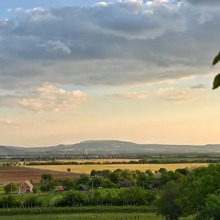 Sip & Sleep - A Vineyard Microhome Experience بيت للعطل Kekito Pusta