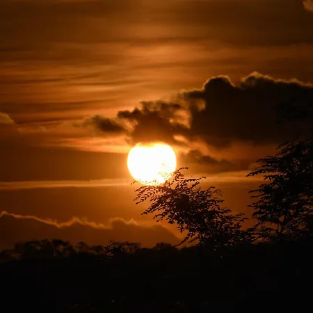 Dom wakacyjny Sip & Sleep - A Vineyard Microhome Experience Kekito Pusta