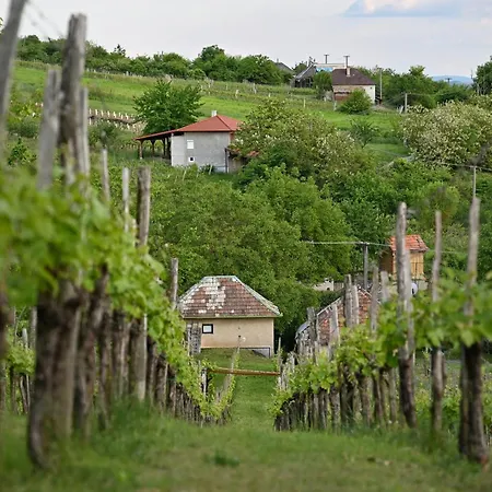 Sip & Sleep - A Vineyard Microhome Experience Kekito Pusta
