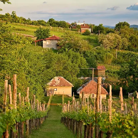 Sip & Sleep - A Vineyard Microhome Experience * Kekito Pusta