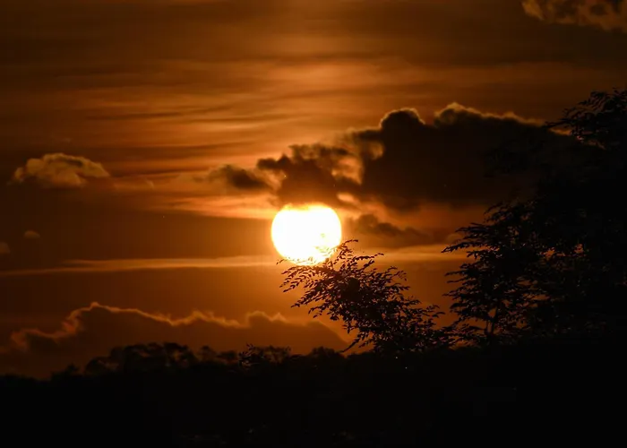 Casa vacanze Sip & Sleep - A Vineyard Microhome Experience Kekito Pusta