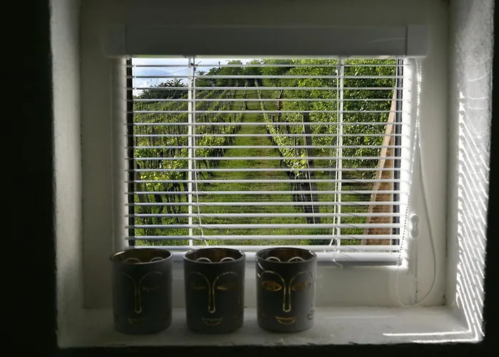 Casa vacanze Sip & Sleep - A Vineyard Microhome Experience Kekito Pusta