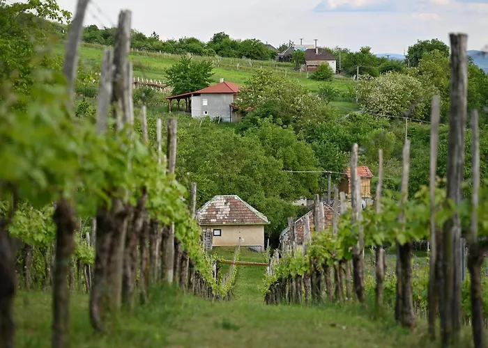 Sip & Sleep - A Vineyard Microhome Experience Kekito Pusta