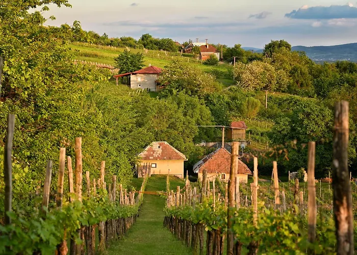 Sip & Sleep - A Vineyard Microhome Experience * Kekito Pusta